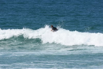 DSC_1365.JPG