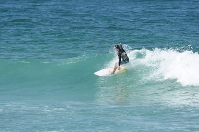 DSC_1376.JPG