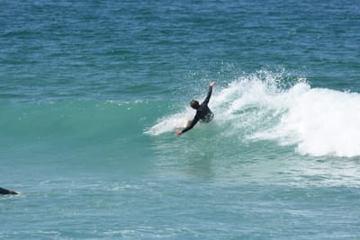 DSC_1378.JPG