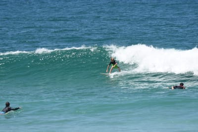 DSC_1381.JPG
