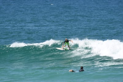 DSC_1382.JPG