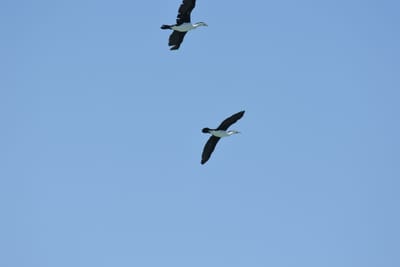 DSC_1400.JPG