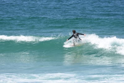DSC_1408.JPG
