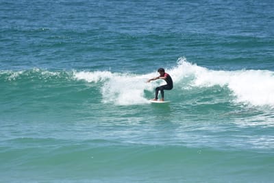 DSC_1436.JPG