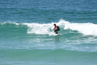 DSC_1437.JPG