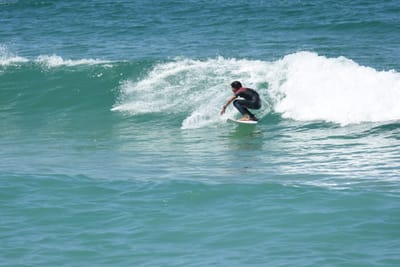 DSC_1446.JPG
