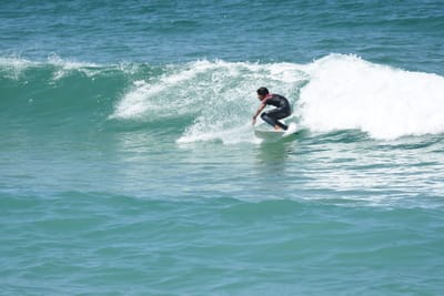 DSC_1447.JPG