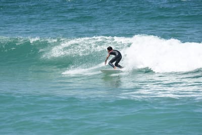 DSC_1448.JPG