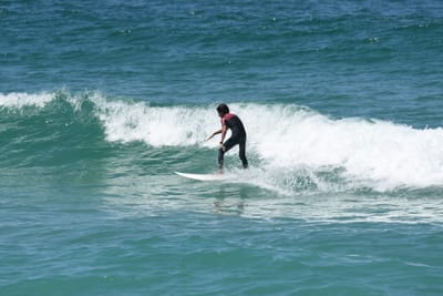 DSC_1453.JPG