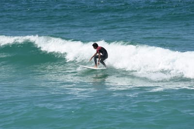 DSC_1455.JPG