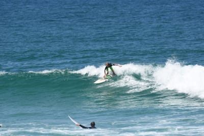 DSC_1475.JPG