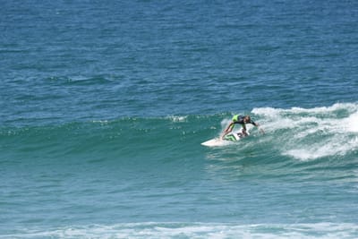 DSC_1480.JPG