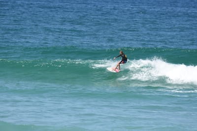 DSC_1513.JPG