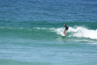 DSC_1514.JPG