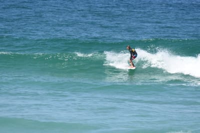 DSC_1515.JPG