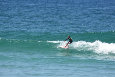 DSC_1517.JPG