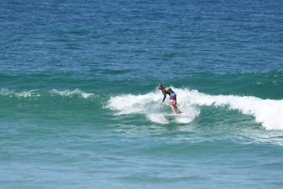 DSC_1519.JPG
