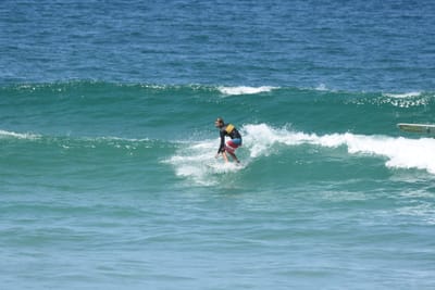 DSC_1526.JPG