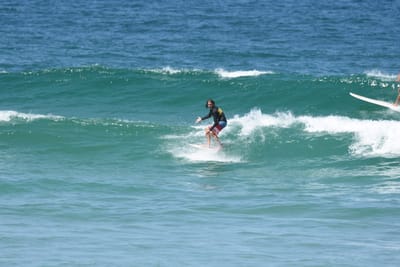 DSC_1527.JPG