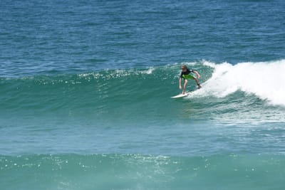 DSC_1556.JPG