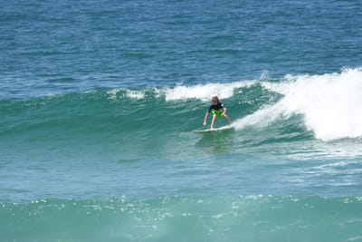 DSC_1557.JPG