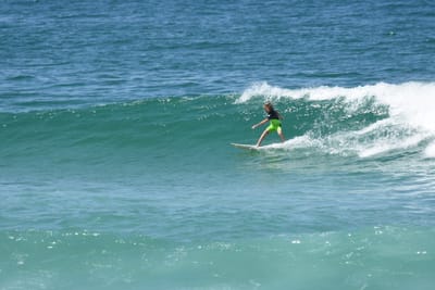DSC_1558.JPG