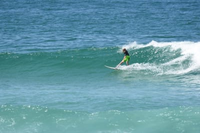 DSC_1559.JPG