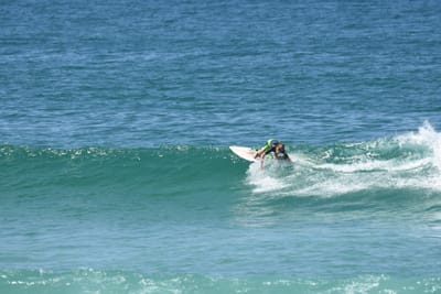 DSC_1562.JPG