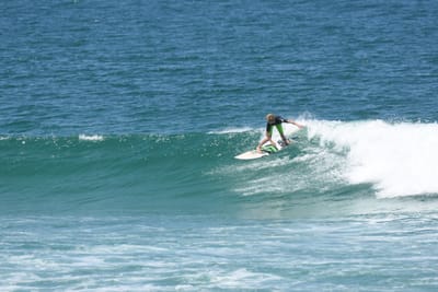 DSC_1595.JPG