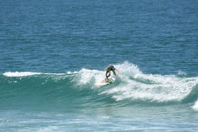 DSC_1601.JPG