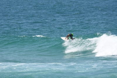 DSC_1610.JPG