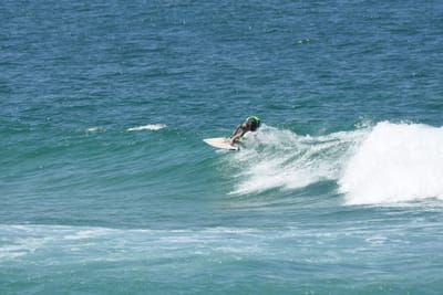 DSC_1611.JPG