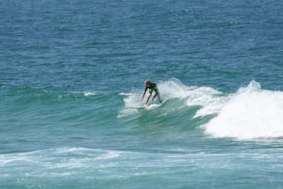 DSC_1614.JPG
