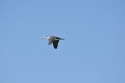 DSC_1616.JPG