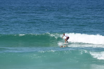 DSC_1619.JPG