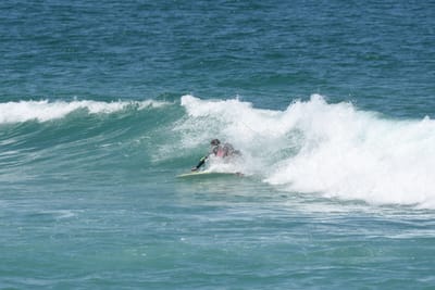 DSC_1633.JPG