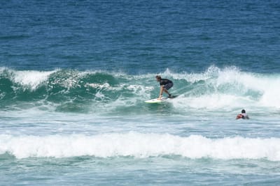 DSC_1678.JPG
