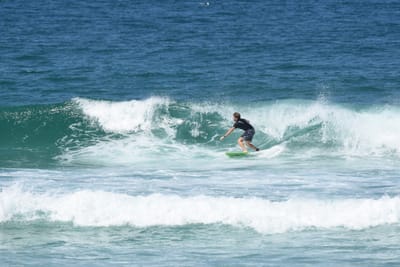 DSC_1680.JPG