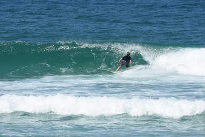 DSC_1685.JPG