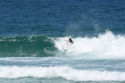 DSC_1692.JPG