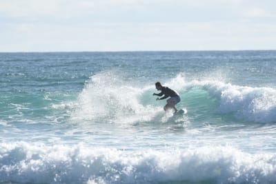 DSC_1751.JPG