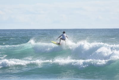 DSC_1770.JPG