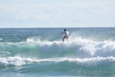 DSC_1772.JPG