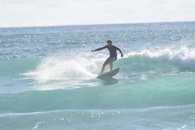 DSC_1779.JPG