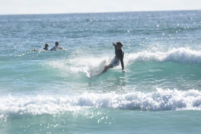 DSC_1785.JPG