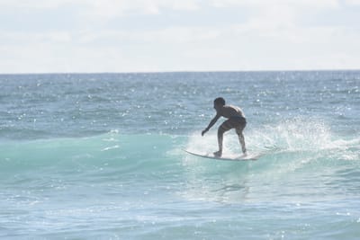 DSC_1818.JPG