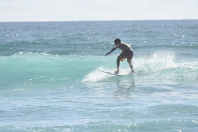 DSC_1819.JPG