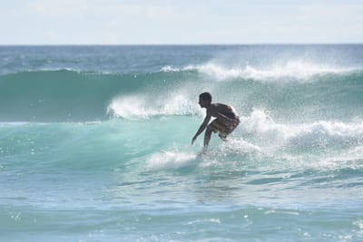 DSC_1826.JPG