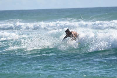 DSC_1833.JPG