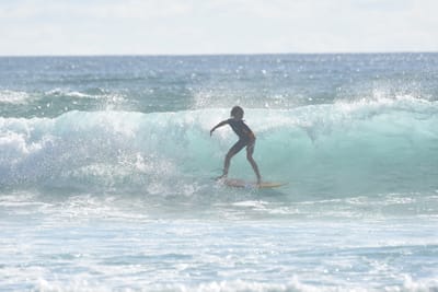 DSC_1845.JPG